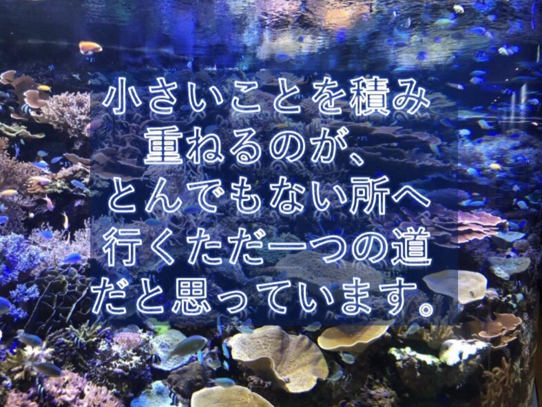 1/23 インペリアルデザイナーコースの内容